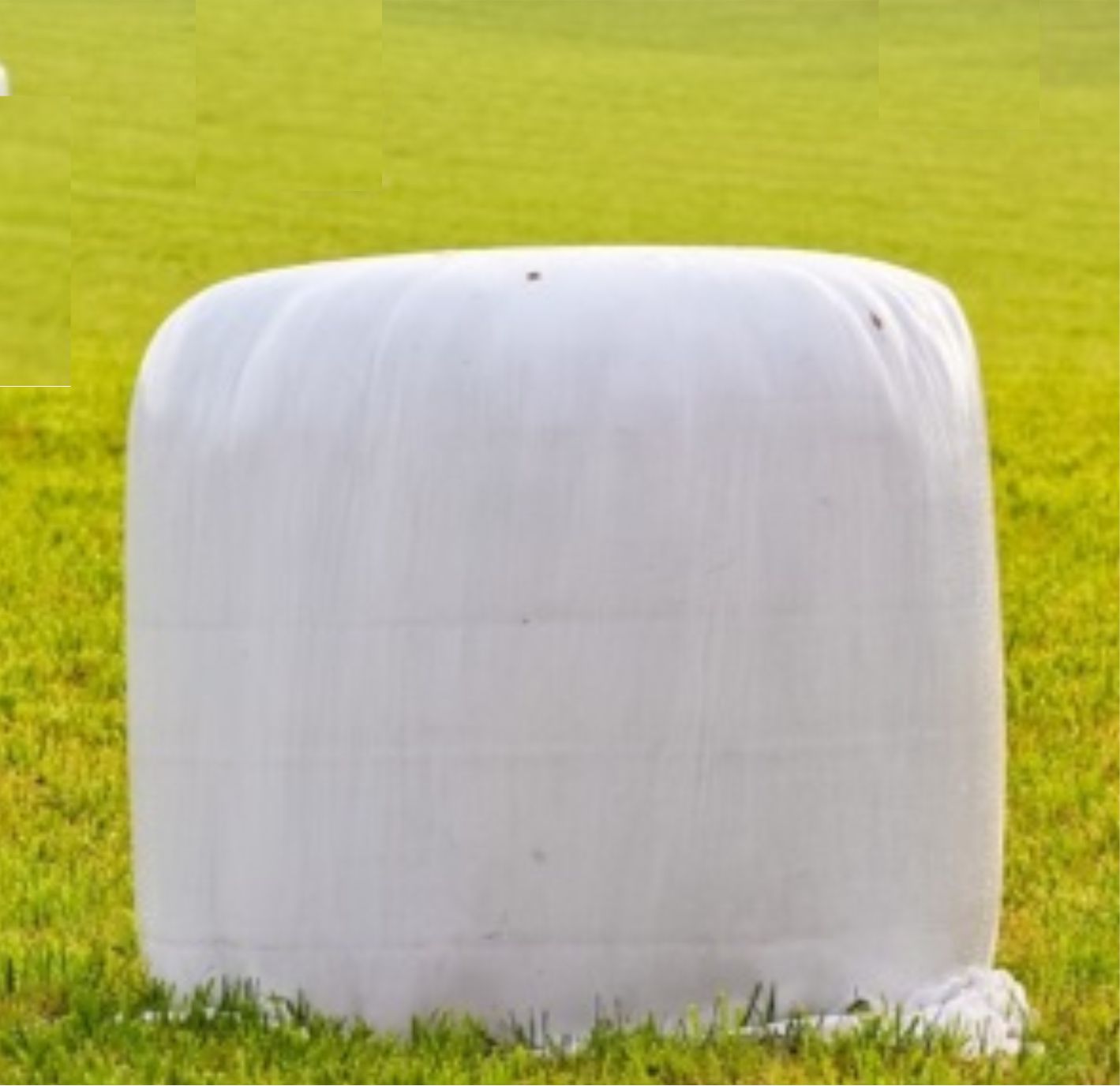 FIBC Liners